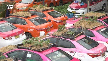 टैक्सी की छत पर उग रही हैं सब्जियां