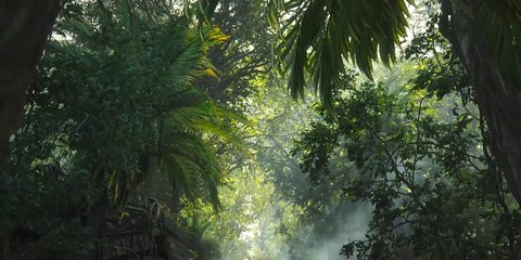 Warzone: El meta de la AUG y la FFAR1 podría verse derrotado por este combo de M16 y Groza