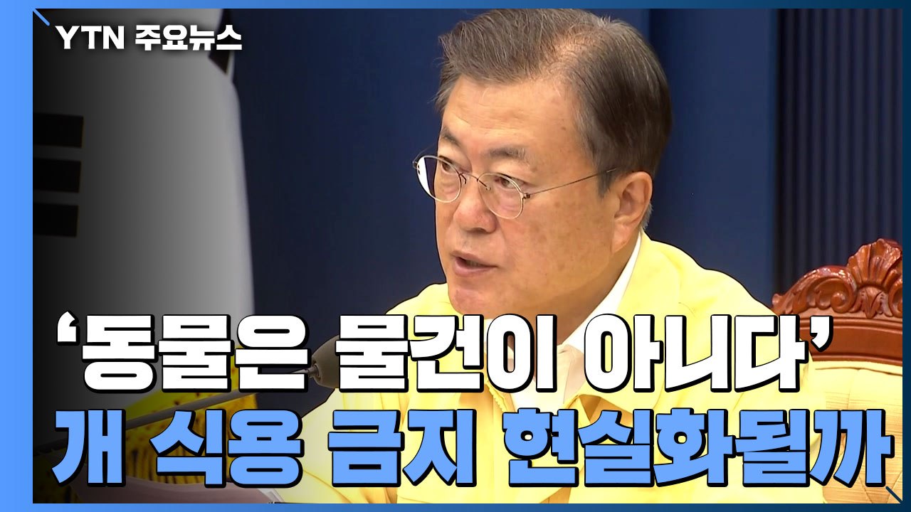 '동물은 물건이 아니다'...개 식용 금지 현실화될까? / YTN