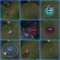 LoL: El montaje de un trabajador de Riot que muestra la magia de League of Legends