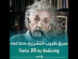ألبرت أينشتاين .. عبقري سرق طبيب التشريح «دماغه» واحتفظ به 20 عاما!