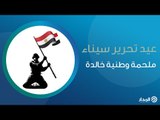 عيد تحرير سيناء..  ملحمة وطنية خالدة