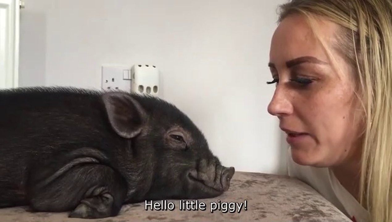 Kimberley Ramsay Piglet