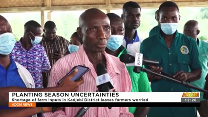 Shortage of farm inputs in Kadjebi District leaves farmers worried - Premotobre Kasee (28-9-21)