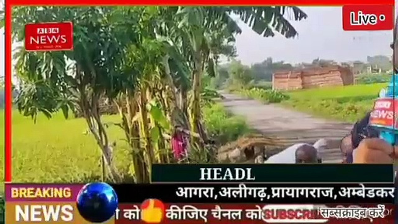 #jangal_me_man gal 2021