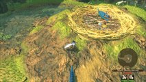 Monster Hunter Stories 2: Huevo de wyvern volador y todas sus características