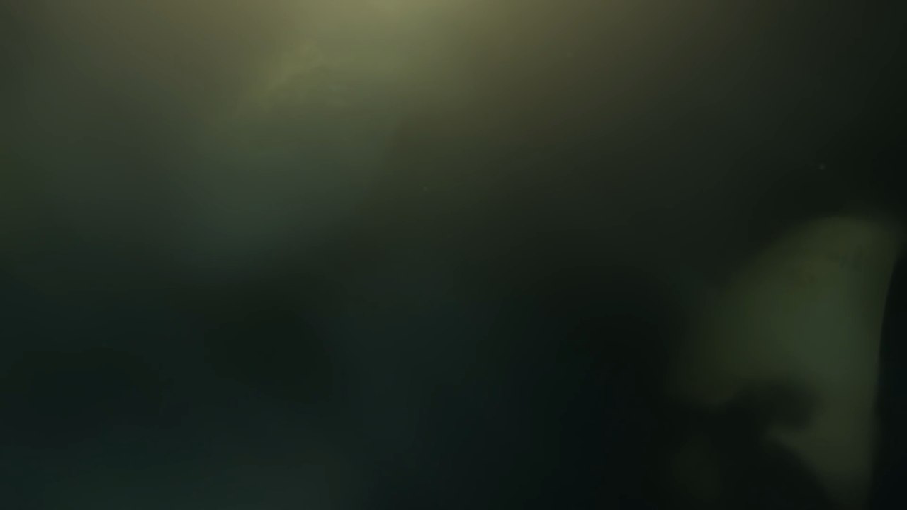 LoL: Riot se pasa de frenada con Tahm Kench y ahora es el mejor campeón del juego