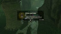 Zelda BOTW DLC 2 : Obtenir set spectral