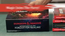 Magic: The Gathering - Guía del principiante para jugadores novatos en los Reinos Olvidados