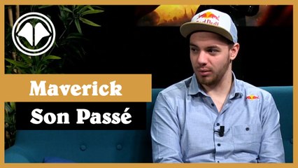 Interview Maverick (Team Vitality & Redbull) Hearthstone - Partie 1