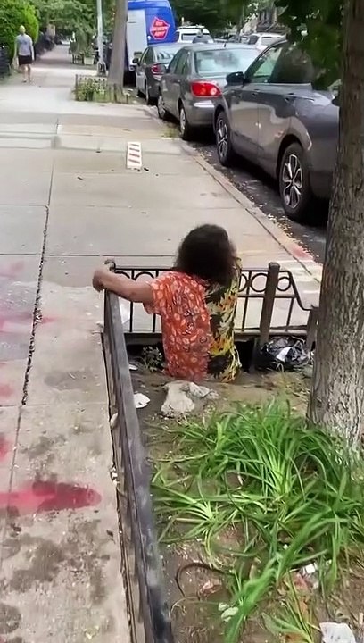 On a retrouvé les Tortues Ninja et elles ont bien changé (New York)