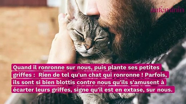 10 choses merveilleuses que seules les personnes qui ont un chat comprennent
