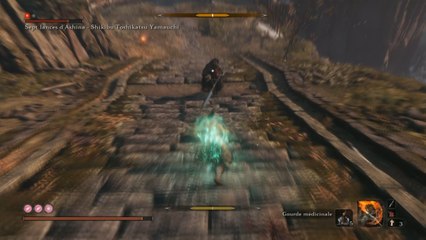 Guide Sekiro : Sept lances d'Ashina - Shikubu Toshikatsu Yamauchu, boss