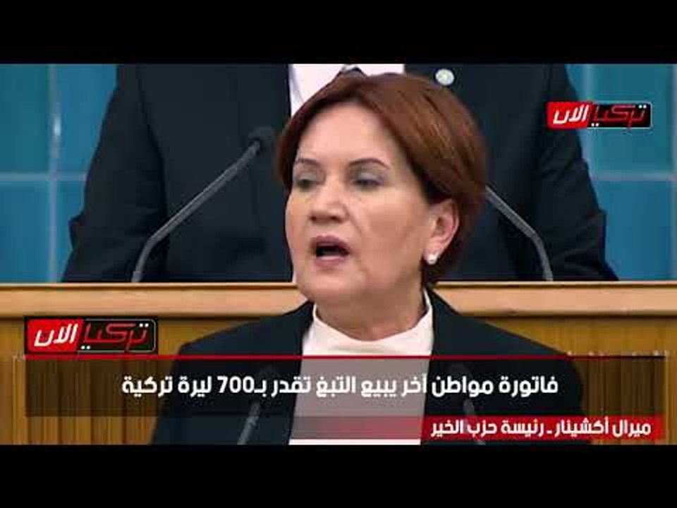 المرأة الحديدية: أموال الأتراك تذهب لأردوغان و عائلته