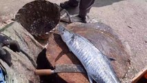 Amazing Vangaram(Seer Fish) Cutting_Indian Fish Market ( 720 X 1280 )