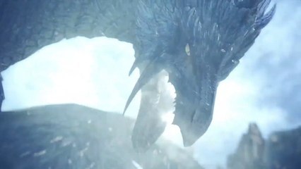 MHW Iceborne : Givre éternel, Hoarfrost reach, zone, région, carte