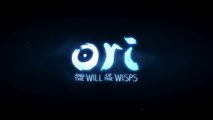 E3 2019 : Ori and the Will of the Wisps, trailer, date de sortie