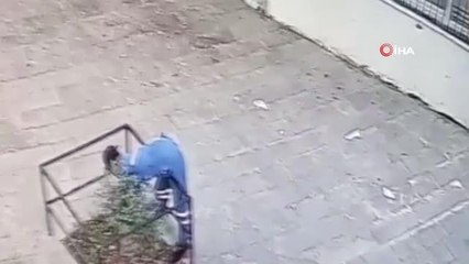 Batman'da hırsızlar fide ağaçlarını böyle çaldı