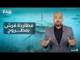 Fake or Fact | حقيقة ظهور سمكة قرش على شواطئ مرسى مطروح