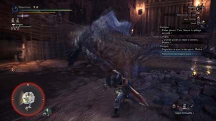 MHW Iceborne : Guide Anjanath Tonnerre, Fulgur Anjanath, monstre