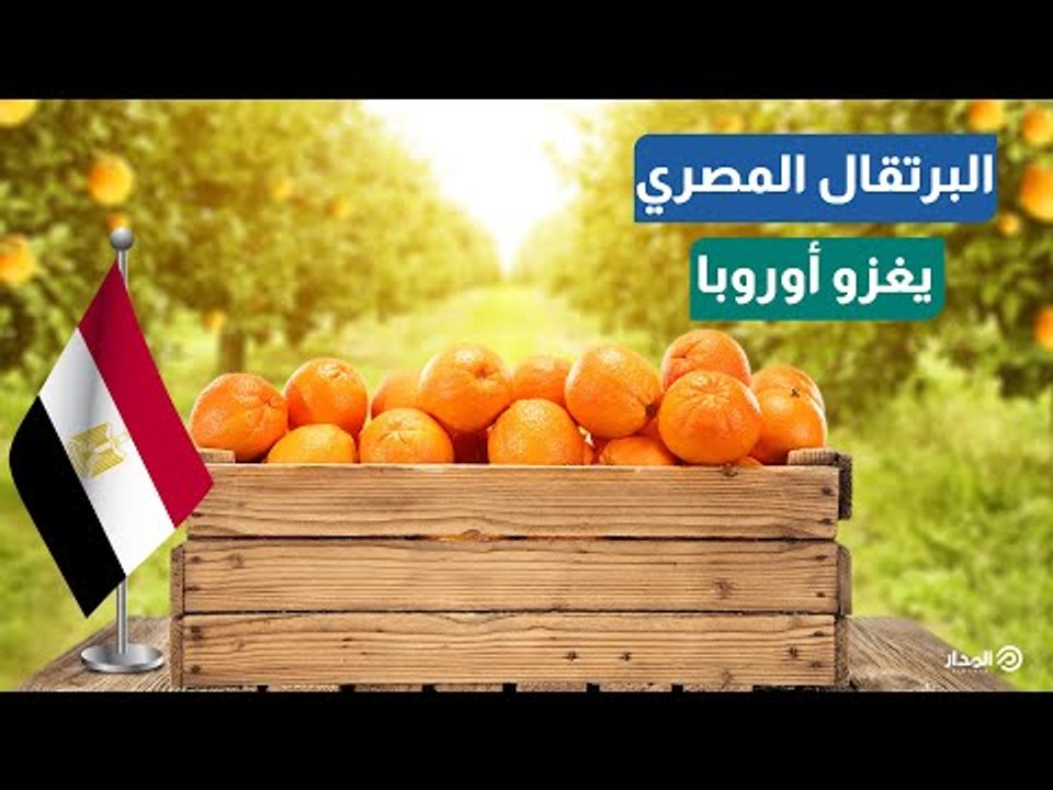 البرتقال المصرييغزو أوروبا