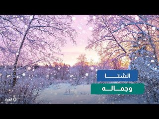 نداء إلى محبي الشتاء.. شوفوا الفيديو دة هيعجبكم
