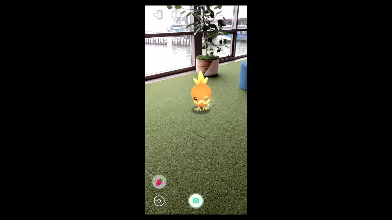 Pokemon GO : Aventure entre copains guide, bonheur, jouer