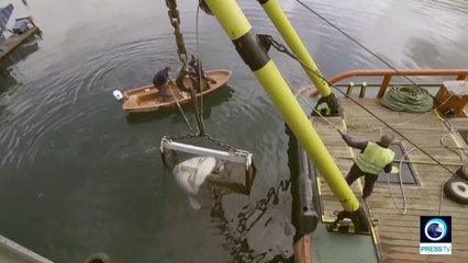 Drowning girl statue causes a stir in Bilbao