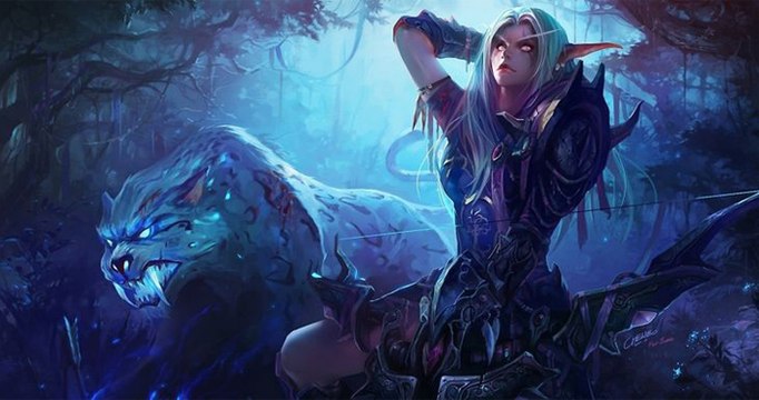 WoW : Présentation du Chasseur, Guide débutant, Classe World of Warcraft