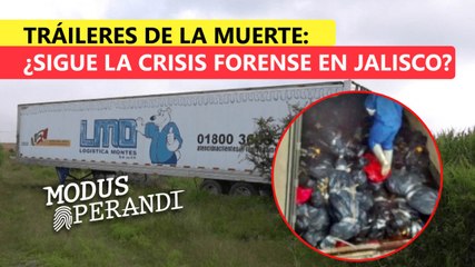 #EscenaDelCrimen ¿Qué ha pasado con los «tráileres de la muerte»? ¿Sigue la crisis en el IJCF? Aquí te lo contamos