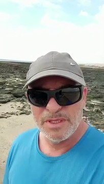 Lo que se está haciendo con los habitantes de La Palma demuestra que Sánc-HEZ nos toma a todos los españoles por IDIOTAS, claro que tampoco estamos demostrando ser otra cosa