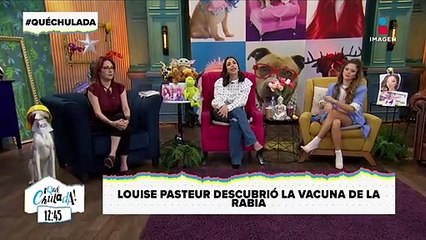 ¡Las veces que la química salvó a la humanidad!