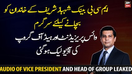 Audio of MCB Vice President and Head of Group leaked...