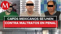 Capos mexicanos 'se unen' y amparan contra hostigamiento y tortura psicológica