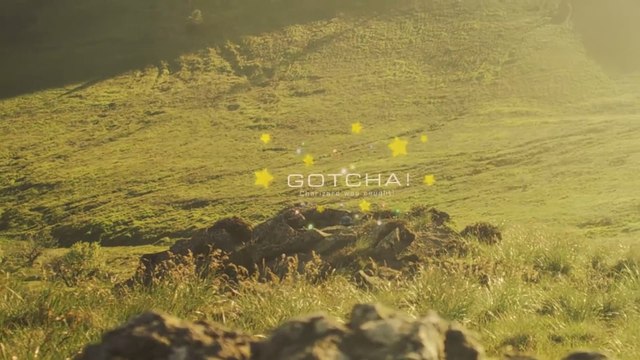 Pokemon GO : Raichu d'Alola, récompense phase d'étude de septembre