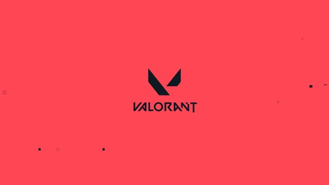 Valorant : Skadoodle se met en retrait du roster T1