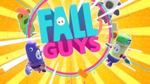 Test Fall Guys sur PC et PS4