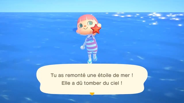 Animal Crossing New Horizons : 3 objets saisonniers d'août à récupérer