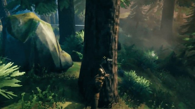 Bois robuste Valheim : Comment en trouver, liste de craft... Notre guide