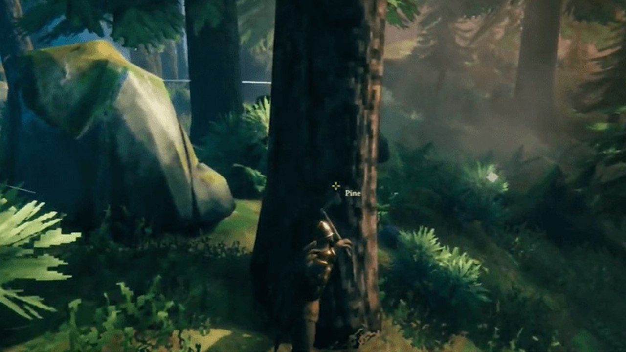Bois robuste Valheim : Comment en trouver, liste de craft... Notre guide