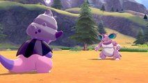 Pokémon SwSh : Les terres enneigées de la couronne sera-t-il meilleur que le premier DLC ?