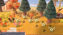4 choses à faire en novembre sur Animal Crossing New Horizons