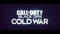 Test : Call of Duty Black Ops Cold War sur PC