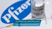 Pfizer inicia ensayos clínicos de una píldora para prevenir el Covid-19
