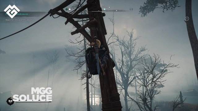 Soluce AC Valhalla, Sciropescire : Position des artéfacts