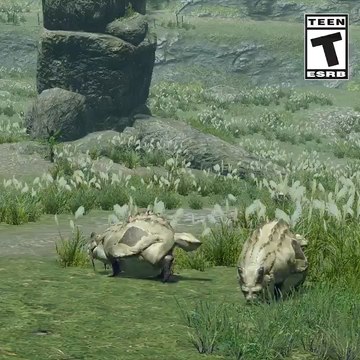Monster Hunter Rise : Faune, insectes & animaux utiles