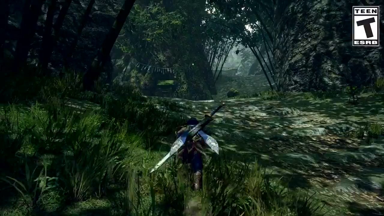 Monster Hunter Rise : Cartes, régions, zones