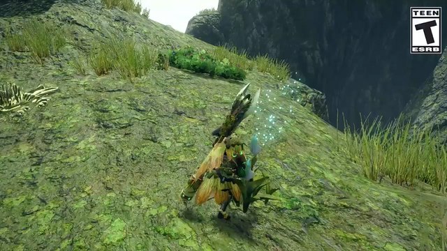 Monster Hunter Rise : Faune, insectes & animaux utiles