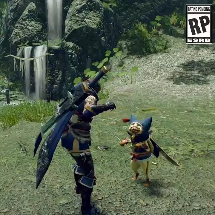Monster Hunter Rise : Palico, Felyne