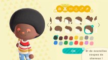 Toile hivernale Animal Crossing : comment reconnaître la contrefaçon ?